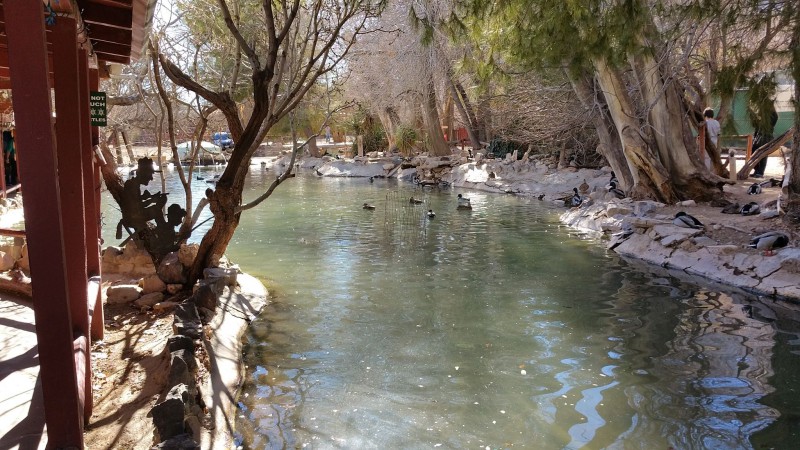 Bonnie Springs Ranch 02