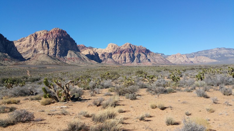 Red Rock Canyon 01
