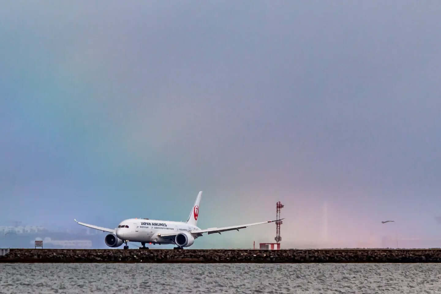 A rainbow at SFO while an Japan Airlines Boeing 787-8 Dreamliner is landing on runway 19L. Thanks to the closure of runway 28L there is a new traffic pattern at SFO while taxiway construction is going on for the next 5 months.

@flysfo #rainbow #sfo #aviation #nature #planespotting #AviationPhotography 
@japanairlines #JapanAirlines #boeing #dreamliner #boeing787 #boeing787dreamliner