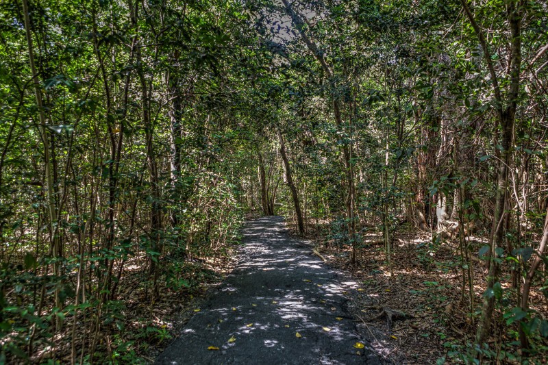 Nature Path to Vizcaya