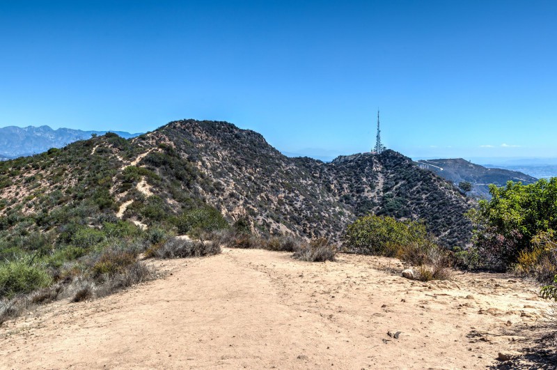 Tree of Life Trail to the Hollywood Sign