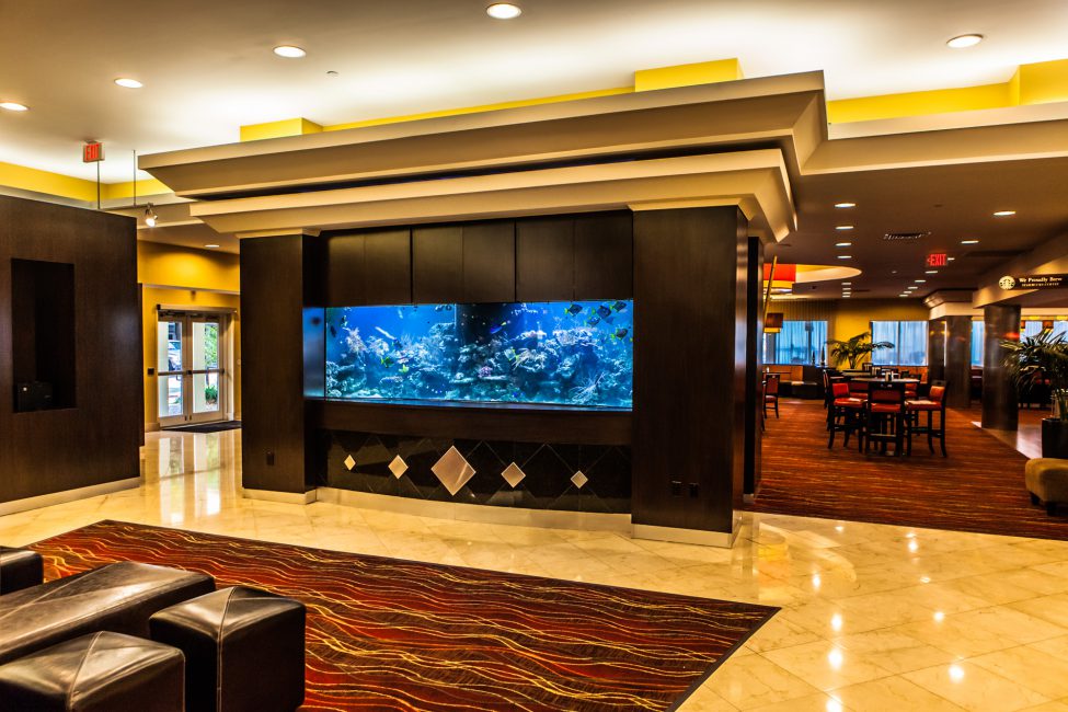 Aquarium in the Lobby