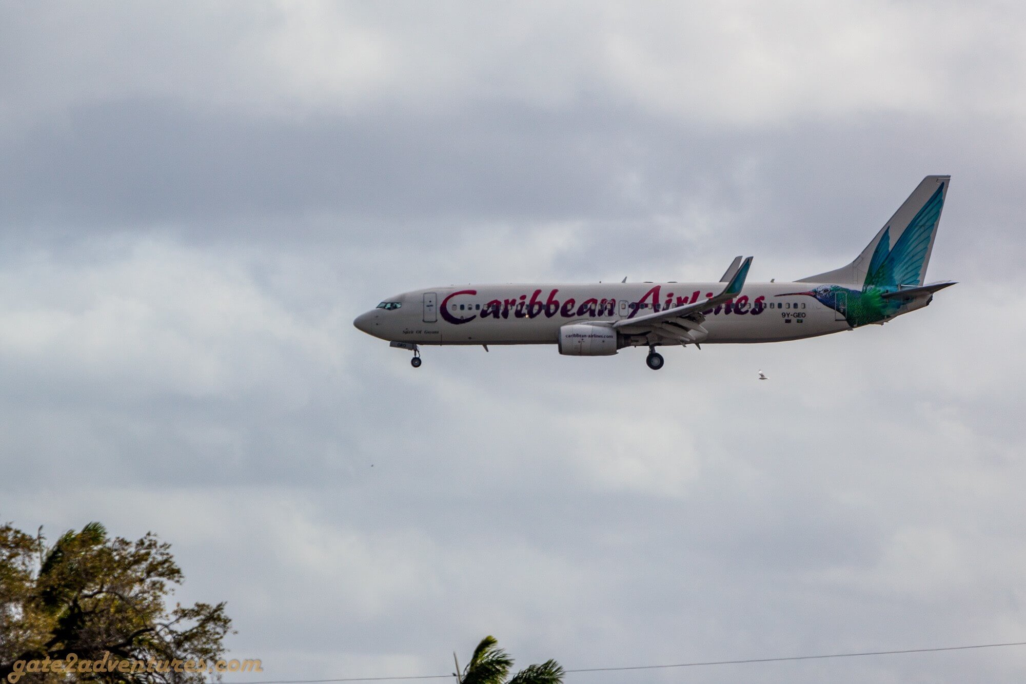 Caribbean Airlines Boeing 737